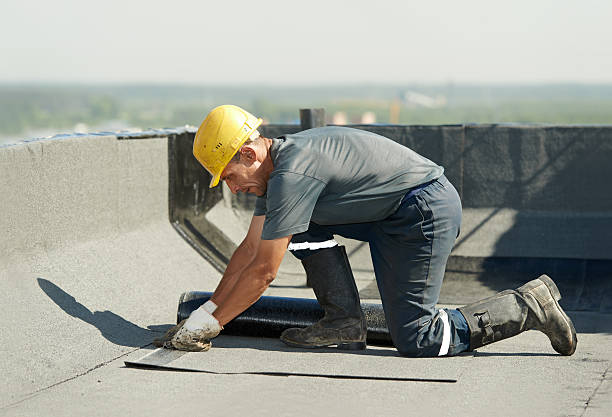 Best Affordable Insulation Services  in , WV